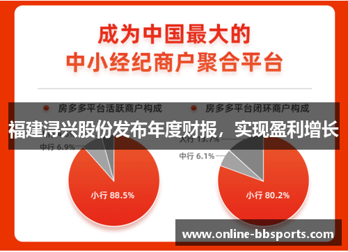 福建浔兴股份发布年度财报，实现盈利增长