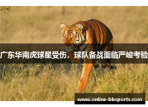 广东华南虎球星受伤，球队备战面临严峻考验